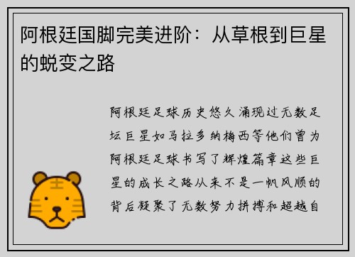 阿根廷国脚完美进阶：从草根到巨星的蜕变之路